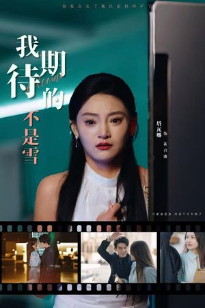 我期待的不是雪（30集）快来看短剧
