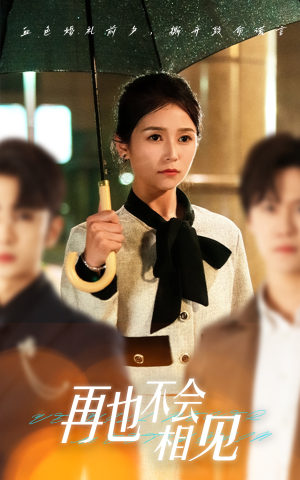 再也不会相见(33集) 再也不会相见(33集)评价怎么样