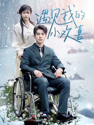 遇见我的小欢喜（70集） 悬疑短剧推荐