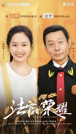 法官的荣耀(5集全) 法官的荣耀(5集全)在线免费观看