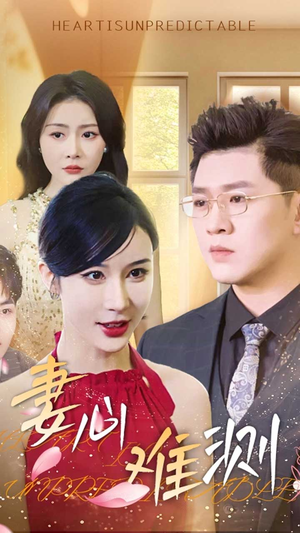 妻心难测（33集）好看吗