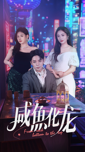 咸鱼化龙(30集)  咸鱼化龙(30集) 1-102集