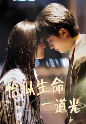 恰似生命一道光(60集)  恰似生命一道光(60集) 演员表