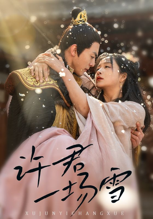 许君一场雪(43集) 许君一场雪(43集)全部免费看全集
