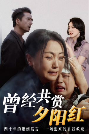 曾经共赏夕阳红  曾经共赏夕阳红 爆火短剧追不停