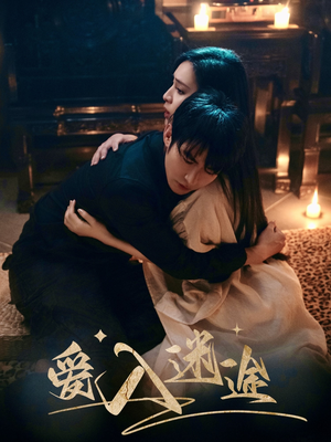 爱入迷途(67集) 爱入迷途(67集)免费短剧大全