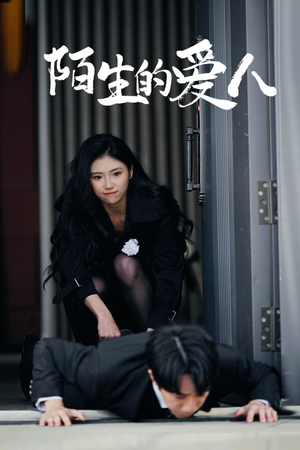 陌生的爱人(60集) 陌生的爱人(60集)免费看短剧