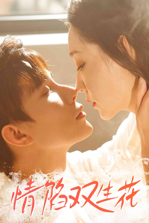 情陷双生花(30集) 情陷双生花(30集)免费短剧看不停