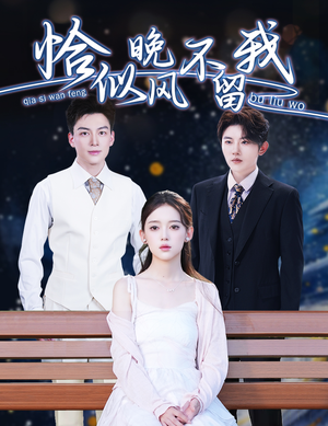 弃他如风（51集）看到大结局