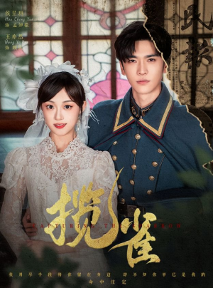 揽雀(61集) 揽雀(61集)这短剧太好看了