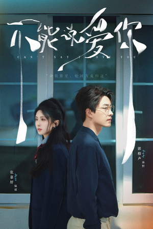不能说爱你(64集) 不能说爱你(64集)全集在线看