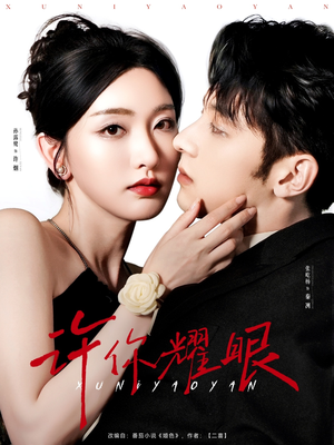 许你耀眼（84集）短剧精彩绝伦