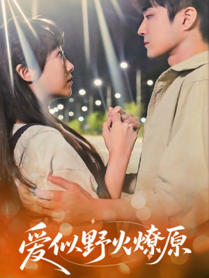 爱似野火燎原（47集）精彩短剧热播