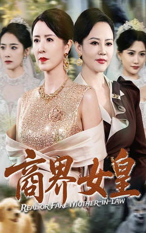 商界女皇(70集) 商界女皇(70集)大结局