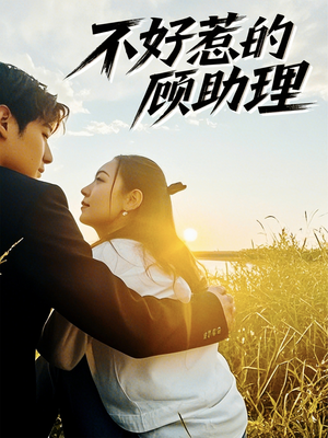 不好惹的顾助理(67集) 不好惹的顾助理(67集)免费短剧全集看