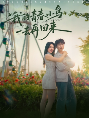 我的青春小鸟一去再回来(95集) 我的青春小鸟一去再回来(95集)太好看了短剧