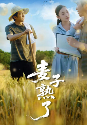 麦子熟了(52集) 麦子熟了(52集)追短剧关注我