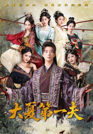 大夏第一夫(90集) 大夏第一夫(90集)最后一集