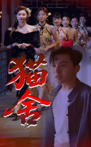 猫舍（34集）小短剧抢先看