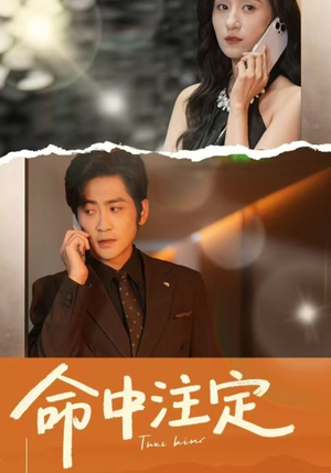 命中注定(33集) 命中注定(33集)免费观看全集