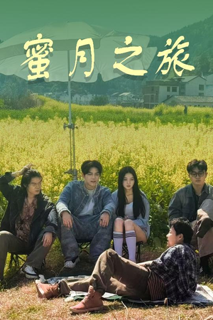 蜜月之旅(35集) 蜜月之旅(35集)真的好看吗