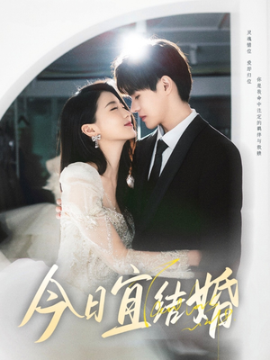 今日宜结婚（80集）追短剧太上头了