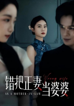 错把正妻当婆婆(46集) 错把正妻当婆婆(46集)短剧热播推荐