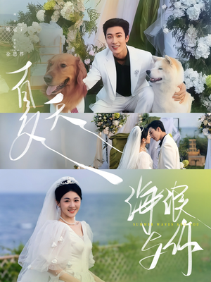 夏天，海浪与你（76集）番茄免费短剧