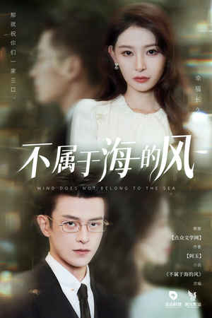 不属于海的风(40集) 不属于海的风(40集)精彩短剧分享