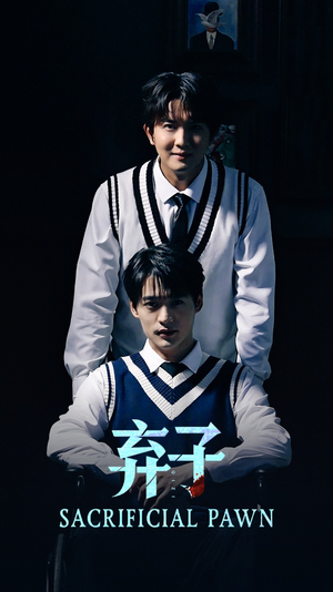 弃子(75集) 弃子(75集)热门短剧推广