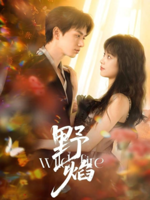 野焰(60集) 野焰(60集)免费短剧看全集