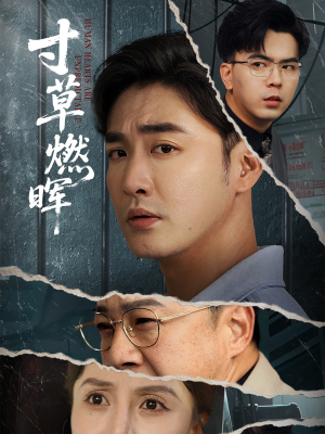 寸草燃晖(70集) 寸草燃晖(70集)排行榜前十短剧