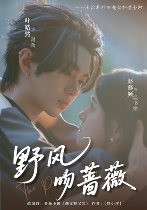 野风吻蔷薇(78集) 野风吻蔷薇(78集)超好看的短剧