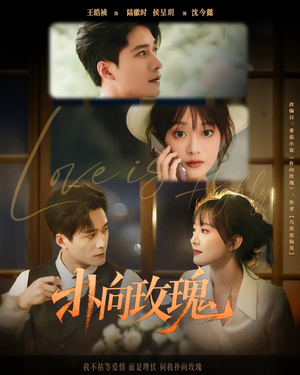 扑向玫瑰(77集) 扑向玫瑰(77集)短剧片段分享