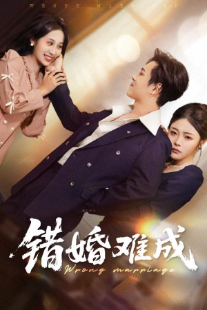 错婚难成(45集) 错婚难成(45集)在哪看