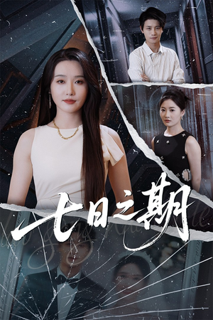 七日之期(90集) 七日之期(90集)短剧精彩片段