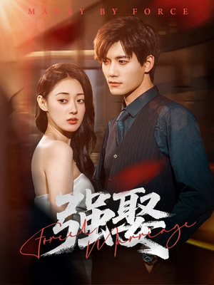 强娶(80集) 强娶(80集)迅雷网盘观看