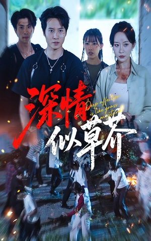 深情似草芥（51集）热播短剧推荐