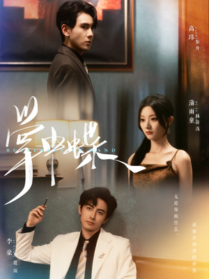 掌中蝶（84集）全集免费