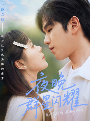 夜晚群星闪耀(70集) 夜晚群星闪耀(70集)看到了大结局