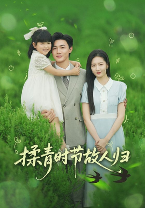 揉青时节故人归(60集) 揉青时节故人归(60集)热门爆款短剧