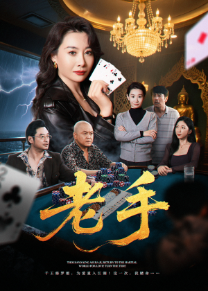 老手(36集) 老手(36集)无需会员免费看