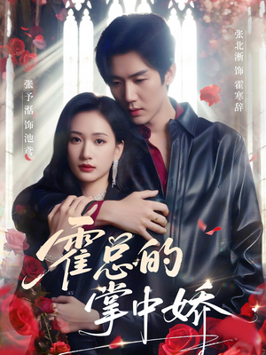 霍总的掌中娇(80集) 霍总的掌中娇(80集)精彩片段