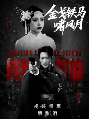 金戈铁马啸风月(54集) 金戈铁马啸风月(54集)短剧热门推荐