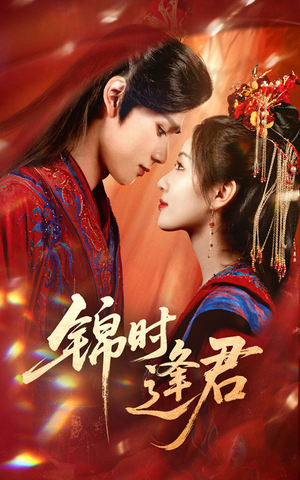 锦时逢君（55集）迅雷网盘观看