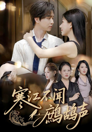 寒江不闻鹧鸪声（55集）免费在线看全集