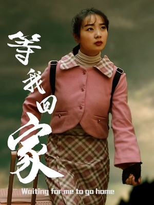 等我回家(23集) 等我回家(23集)在线免费观影