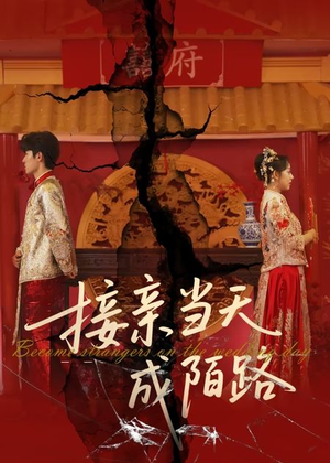 接亲当天成陌路(50集) 接亲当天成陌路(50集)在哪个平台看好