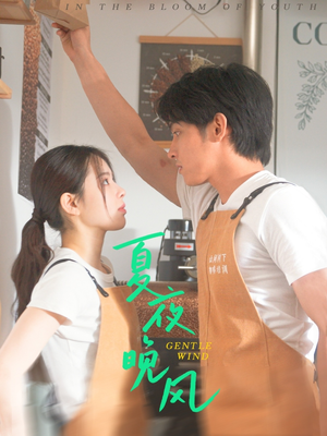 夏夜晚风(12集) 夏夜晚风(12集)精彩短剧天天看