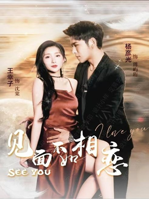 见面不如相恋(71集) 见面不如相恋(71集)温柔追捕短剧
